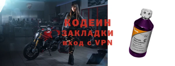 шишки Абаза