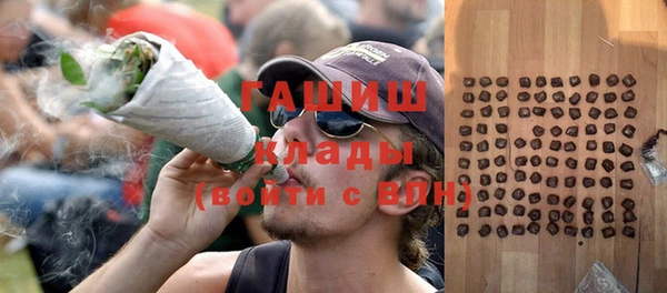 шишки Абаза