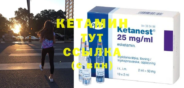 шишки Абаза