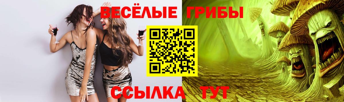 Галлюциногенные грибы Psilocybine cubensis  Вход с VPN  Галлюциногенные грибы мухоморы  Дербент 